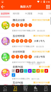 尋找王中王一肖圖——深度解析背后的故事，深度探尋王中王一肖圖的背后故事