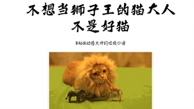 王中王013期指一生肖——探尋背后的秘密與奧秘，王中王013期生肖揭秘，探尋背后的秘密與奧秘之旅