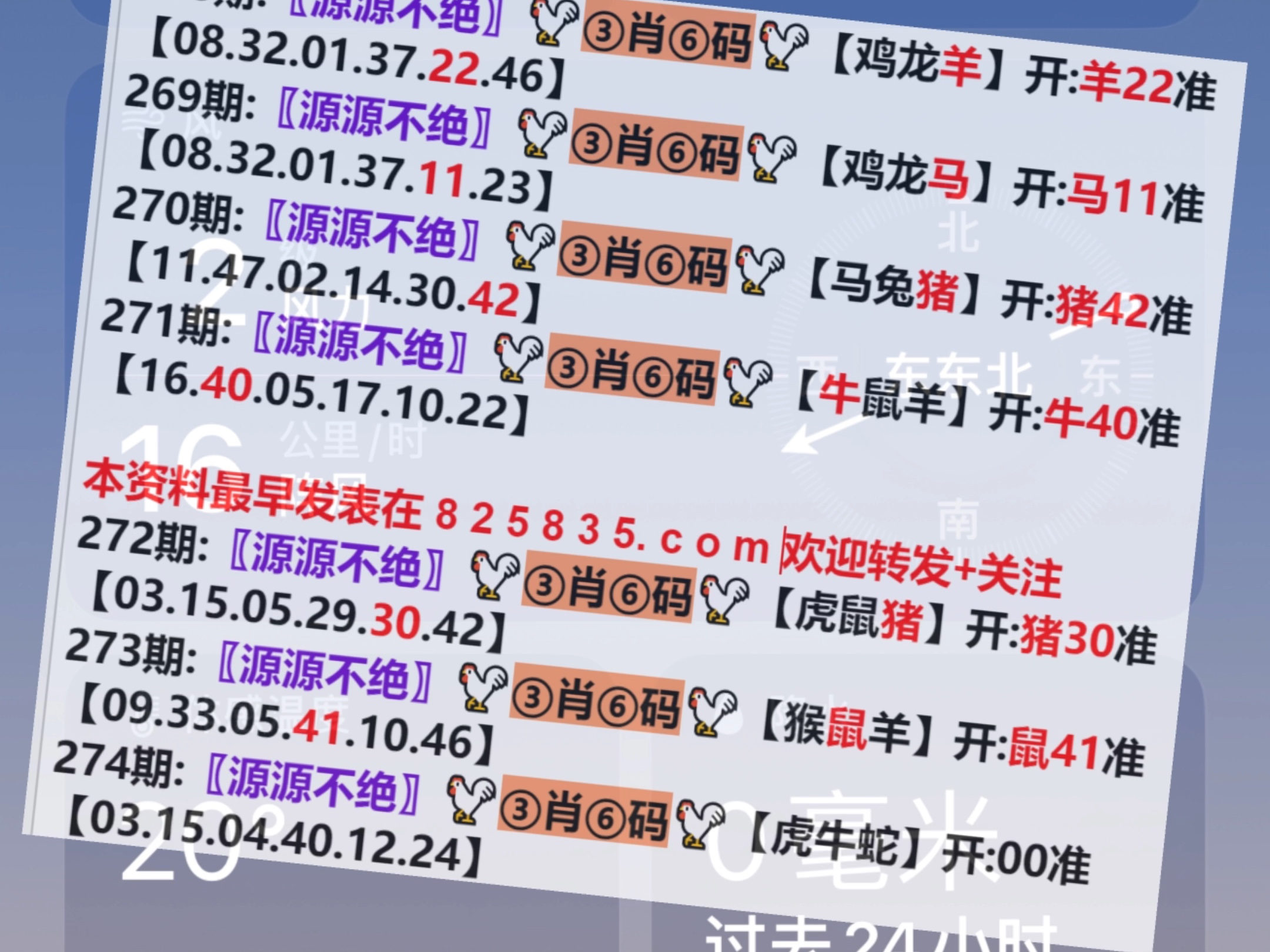 澳門一肖一碼開獎結(jié)果，揭秘彩票背后的秘密，澳門彩票開獎結(jié)果揭秘，一肖一碼背后的秘密