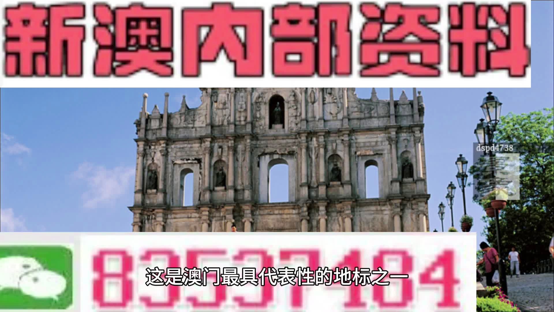 新澳門今晚精準一肖預測——探索生肖運勢的秘密，澳門今晚生肖運勢預測，揭秘生肖運勢秘密
