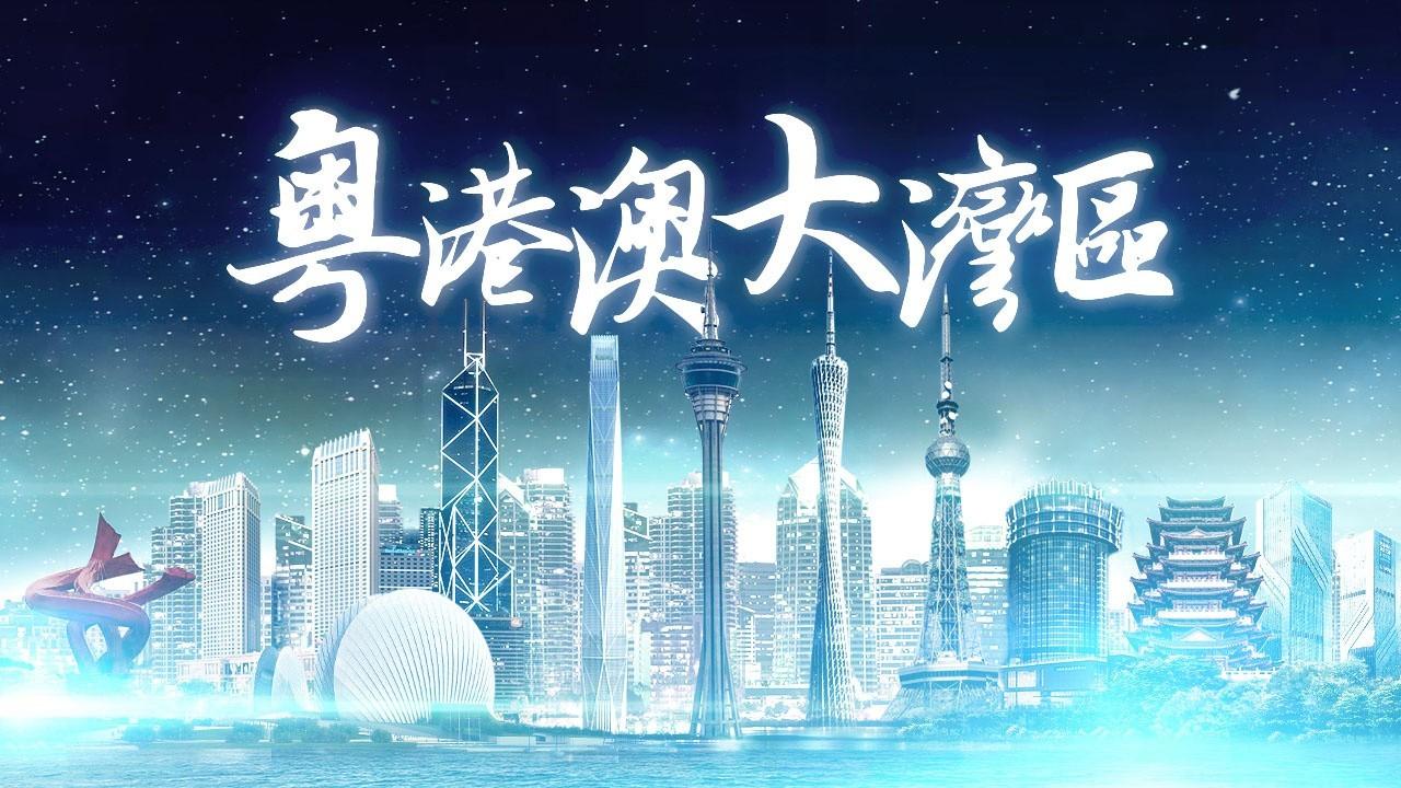 2025年香港正版免費資料全面解析，香港正版免費資料全面解析（2025版）