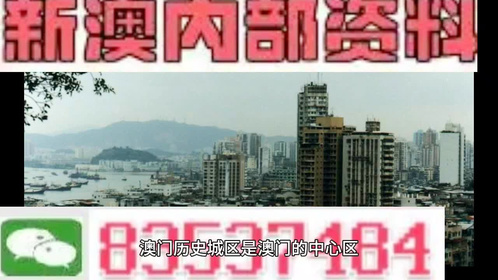 澳門全年最全免費(fèi)資料大全，探索無盡的資源寶庫，澳門全年免費(fèi)資料寶庫，探索無盡資源之旅