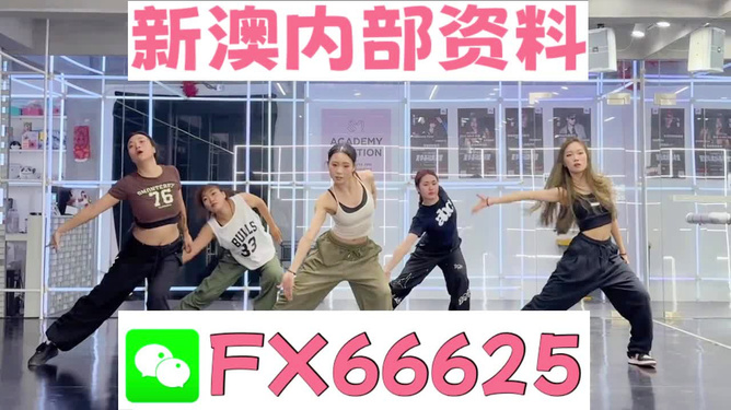 王中王內(nèi)部透肖一肖二碼，深度解析與探索，王中王內(nèi)部透肖一肖二碼深度解析與探索揭秘
