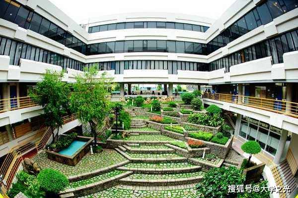 新澳芳草，最精準(zhǔn)的探尋與體驗(yàn)，新澳芳草，精準(zhǔn)探尋與獨(dú)特體驗(yàn)