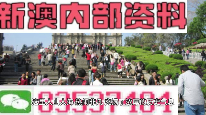 澳門最精準(zhǔn)免費(fèi)資料大全旅游團(tuán)，探索澳門之旅的完美選擇，澳門最精準(zhǔn)免費(fèi)資料大全旅游團(tuán)，探索澳門之旅的不二之選