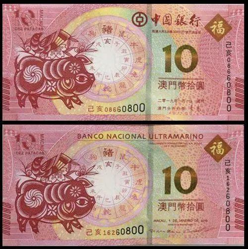 澳門天天彩期期精準(zhǔn)十二生肖預(yù)測(cè)——揭秘彩票背后的秘密，澳門天天彩期期精準(zhǔn)十二生肖預(yù)測(cè)，彩票背后的秘密大揭秘