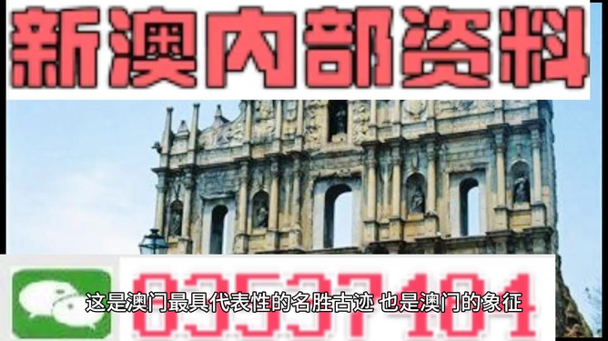 新澳門正版資料，探索與解析，澳門正版資料深度解析與探索