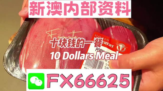 揭秘2025新奧精準(zhǔn)正版資料，全方位解讀與SEO優(yōu)化策略，揭秘2025新奧精準(zhǔn)正版資料，全方位解讀與SEO策略優(yōu)化指南