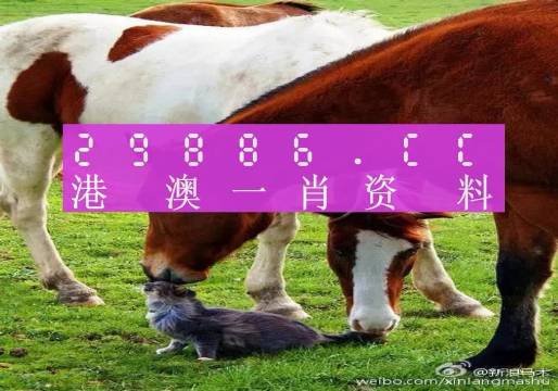新奧門一肖一碼，揭秘精準(zhǔn)預(yù)測的秘密，揭秘新澳門一肖一碼精準(zhǔn)預(yù)測的秘密