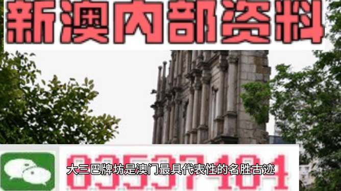 新澳門開(kāi)獎(jiǎng)最快開(kāi)獎(jiǎng)直播，全面解析與實(shí)時(shí)關(guān)注指南，新澳門開(kāi)獎(jiǎng)直播，全面解析與實(shí)時(shí)關(guān)注指南