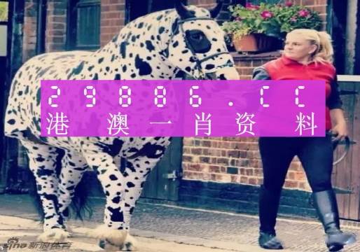 澳彩平肖王中王，一笑一碼的秘密與SEO優(yōu)化策略，澳彩平肖王中王，揭秘一笑一碼背后的SEO優(yōu)化策略