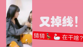 王中王欲錢詩(shī)猜一肖，王中王欲錢詩(shī)暗示的生肖之謎