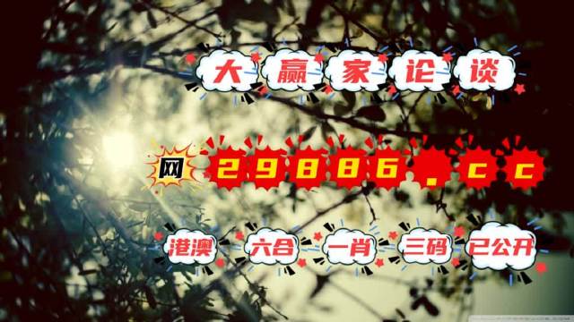 澳門今必開一肖一碼，深度解析與探索，澳門生肖一碼深度解析與探索