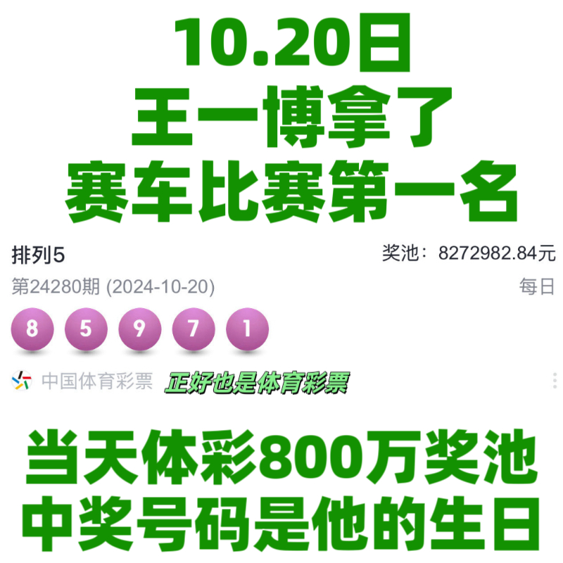 王中王一肖資料中特馬——深度解析與SEO洞察，王中王一肖特馬深度解析與SEO洞察揭秘