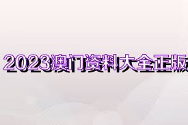 澳門正版免費全年資料大全旅游團，探索澳門文化的絕佳選擇，澳門正版全年資料大全旅游團，探索澳門文化的最佳之旅