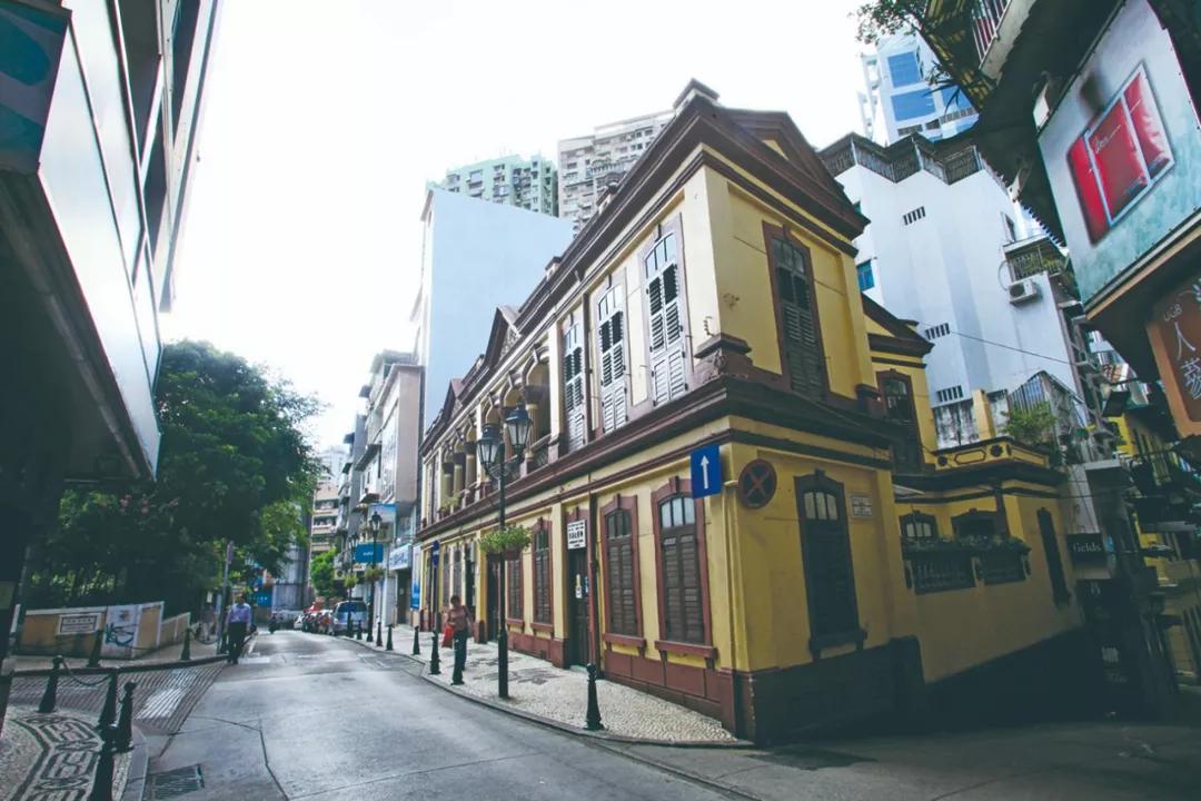 澳門今晚必開一肖，揭秘生肖運勢與預(yù)測邏輯，澳門今晚生肖預(yù)測揭秘，生肖運勢與預(yù)測邏輯分析