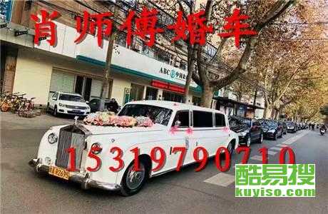 王中王車奪平特一肖免費(fèi)——深度解析與探索，王中王車奪平特一肖，深度解析與免費(fèi)探索