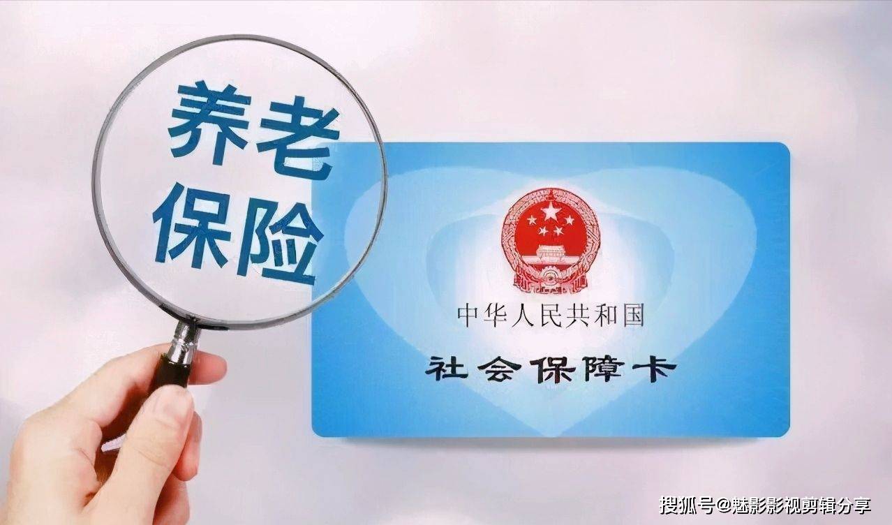 揭秘王中王一期一肖特中獎(jiǎng)背后的秘密，王中王一期一肖特中獎(jiǎng)背后的秘密揭秘