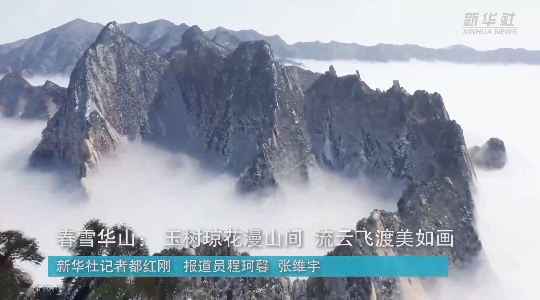 澳門最精準(zhǔn)龍門，探索真正的精準(zhǔn)之道，澳門最精準(zhǔn)龍門，揭秘真正的精準(zhǔn)之道