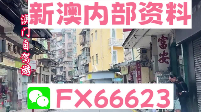新澳精準(zhǔn)資料免費(fèi)提供，探索與利用資源助力成功，新澳精準(zhǔn)資料免費(fèi)分享，助力成功探索與利用資源