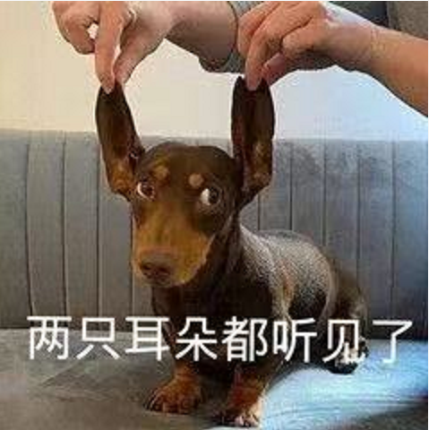 王中王四不象必中一肖，揭秘背后的秘密與策略，揭秘王中王四不象必中一肖背后的秘密與策略之道