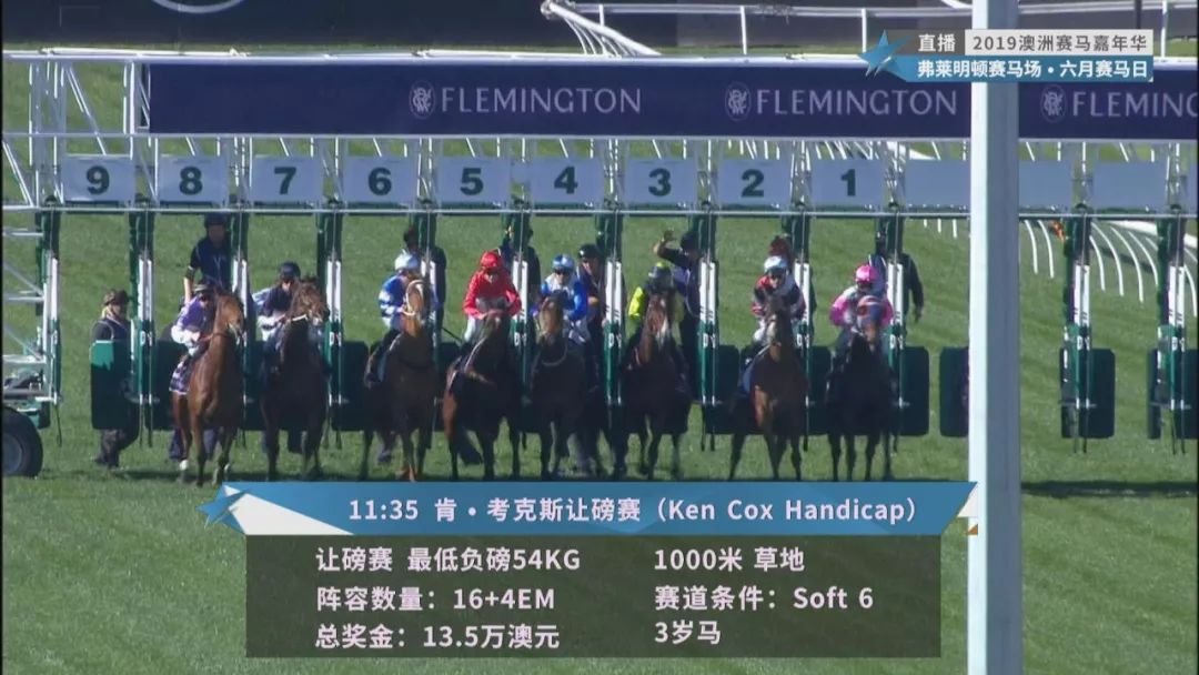 賽馬澳門六月開獎結果，探索與期待，澳門六月賽馬開獎揭曉，探索結果引期待