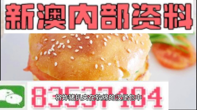 2025新澳正版資料精準(zhǔn)解析，2025新澳正版資料精準(zhǔn)解析手冊(cè)