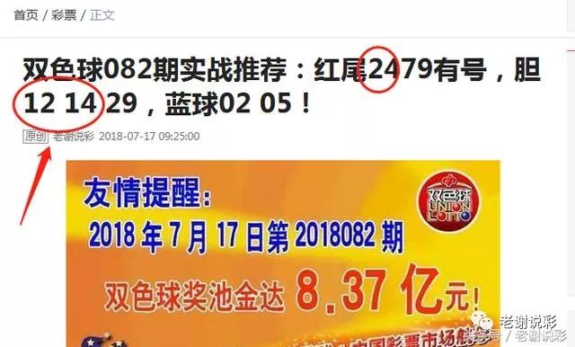 王中王082期指一生肖——探尋生肖魅力，洞悉運(yùn)勢(shì)奧秘，探尋生肖魅力，揭秘運(yùn)勢(shì)奧秘——王中王生肖運(yùn)勢(shì)解析 082期