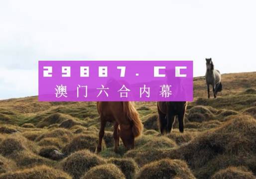 澳門六開獎結(jié)果2023開獎記錄查詢網(wǎng)站——全面解析與最新資訊，澳門六開獎結(jié)果最新解析與資訊，全面查詢2023年開獎記錄