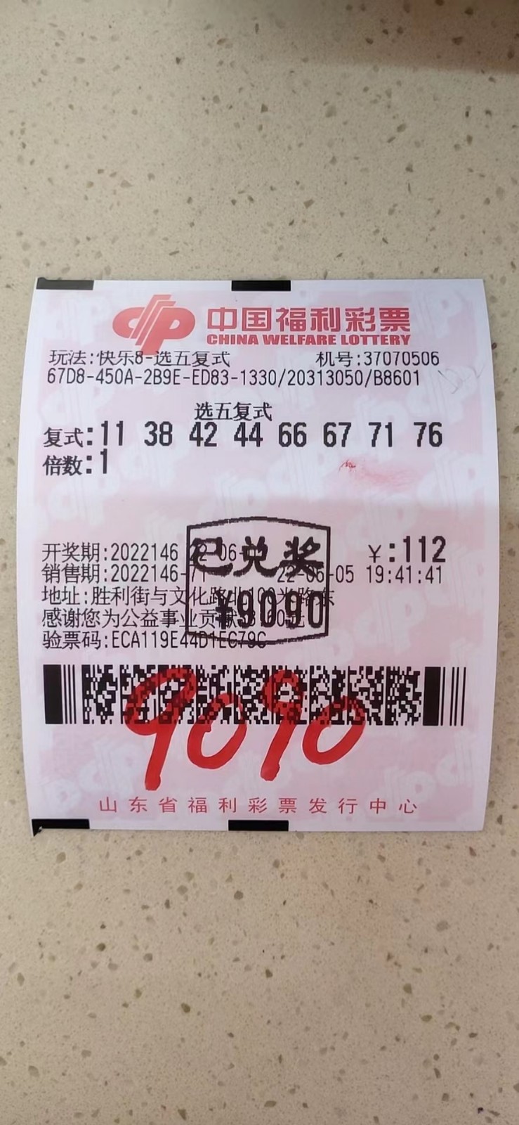 揭秘002期王中王平特一肖，背后的故事與奧秘，揭秘王中王平特一肖背后的故事與奧秘（第002期）