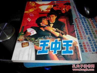 王中王資料一肖中特小說，深度解析與探索，王中王資料一肖中特小說的深度解析與探索之旅