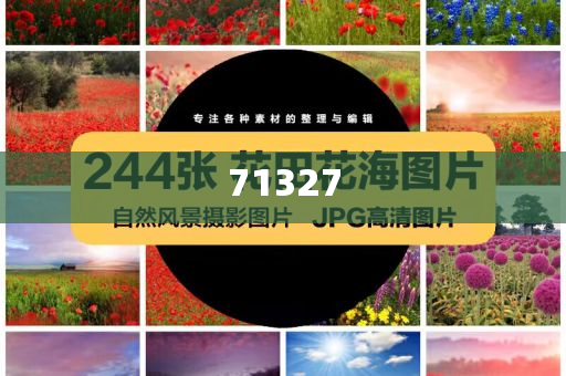 探索777788888管家婆網(wǎng)，一站式解決方案的綜合服務(wù)平臺，一站式解決方案的綜合服務(wù)平臺，探索777788888管家婆網(wǎng)