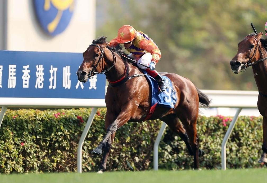 香港賽馬會，探索賽馬運動的魅力與激情的交匯點——7777788888的獨特魅力，香港賽馬會，賽馬運動的激情交匯點與獨特魅力探索
