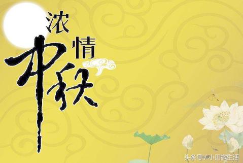 天天開好彩免費資料大全