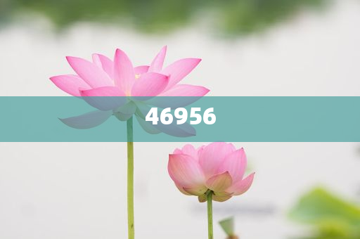 新奧集團(tuán)，邁向2025，天天開(kāi)好彩的愿景與挑戰(zhàn)，新奧集團(tuán)邁向2025，實(shí)現(xiàn)天天開(kāi)好彩的愿景與挑戰(zhàn)