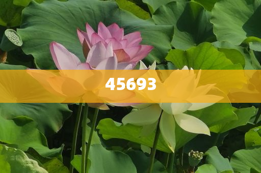 全新升級，7777888888精準新管家，全新升級管家，精準管理，一站式服務 7777888888新管家重磅來襲