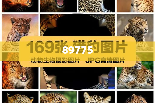 關(guān)于新奧歷史開獎記錄的最新信息，今天公布了嗎？，新奧歷史開獎記錄最新信息公布了嗎？