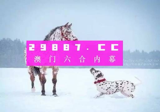澳門一肖一碼狀元紅，揭秘彩票背后的秘密與策略，澳門彩票揭秘，狀元紅背后的秘密與策略解析