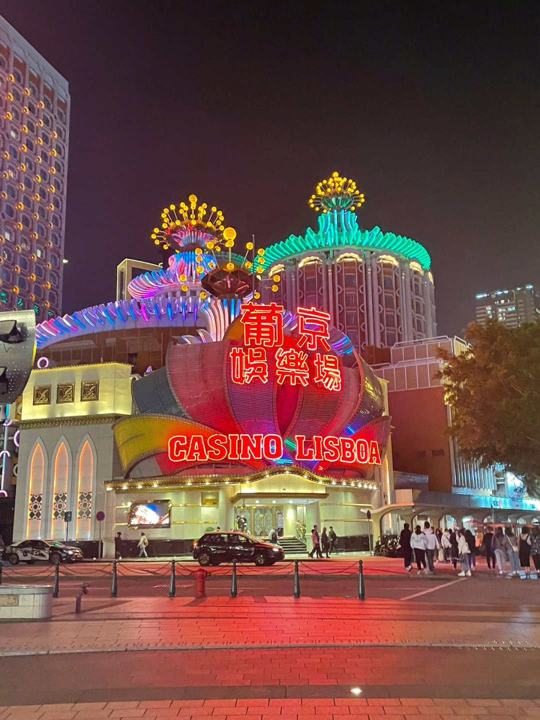 澳門今晚必開一肖一特芳草地，探索生肖與運(yùn)勢(shì)的神秘面紗，澳門生肖運(yùn)勢(shì)揭秘，探索今晚必開一肖一特芳草地神秘面紗的運(yùn)勢(shì)之旅