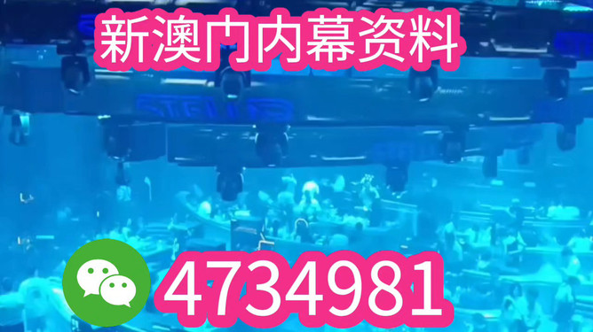 揭秘未來之星，2025新澳王中王，揭秘未來之星，2025新澳王中王風(fēng)采展示