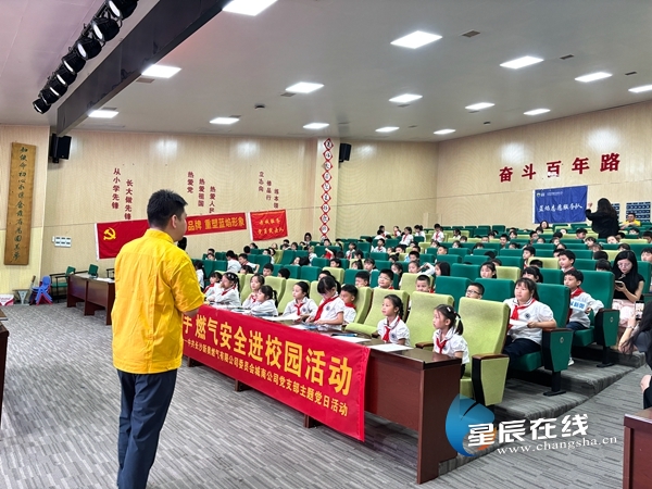 新奧49正版資料，探索與解析，新奧49正版資料深度探索與解析