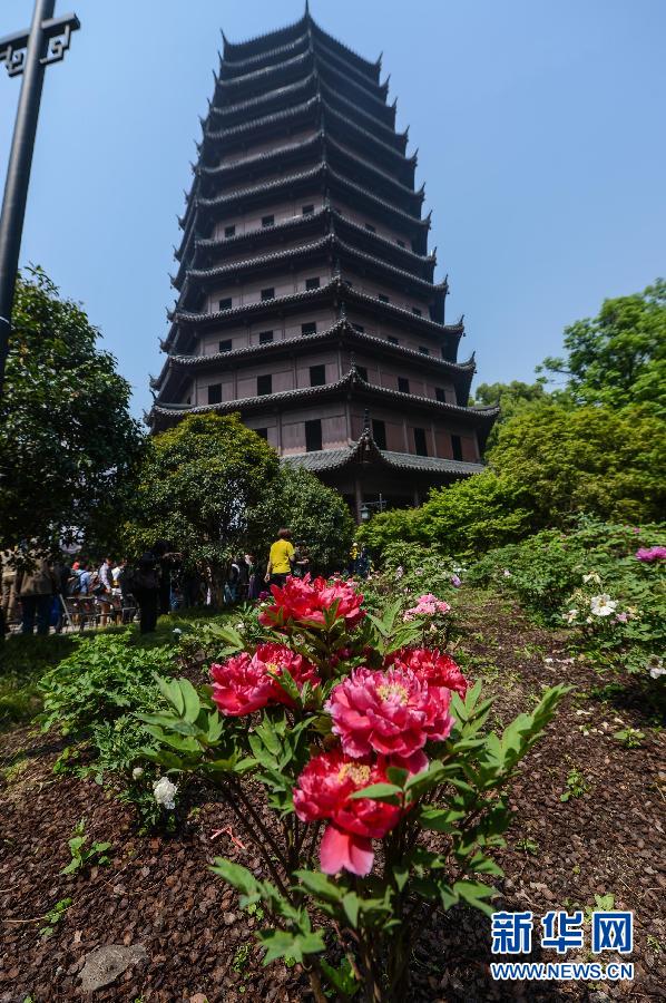 六和彩開碼資料網(wǎng)——探索彩票世界的門戶，六和彩開碼資料網(wǎng)，彩票世界探索之門