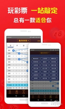 揭秘2019王中王一肖，成功背后的故事與秘密，揭秘王中王一肖的成功之路，背后的故事與秘密