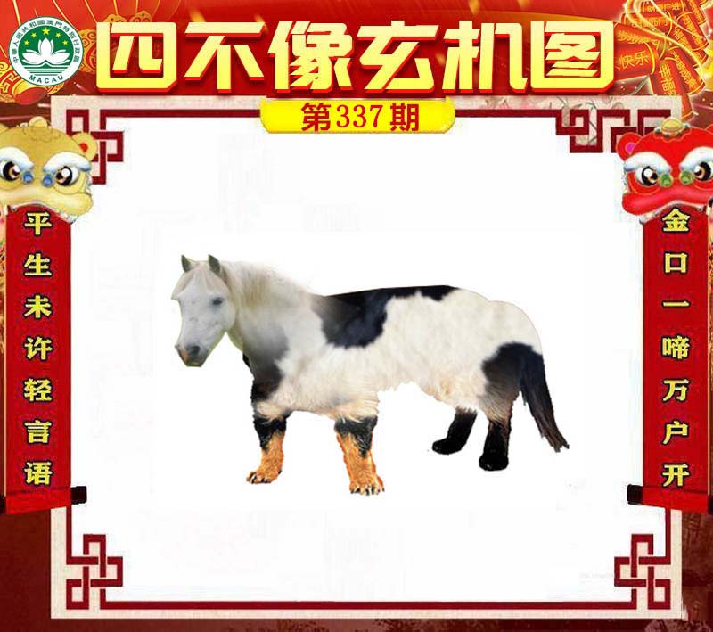 王中王一肖必中四不像，揭秘彩票背后的秘密與策略，揭秘彩票背后的秘密與策略，王中王一肖四不像彩票解析