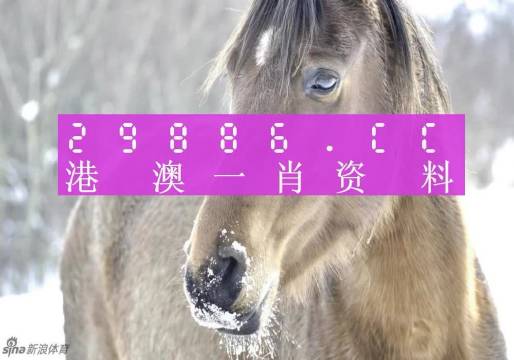 澳門一肖一碼100%精準的背景故事，澳門精準一肖一碼傳奇背景故事