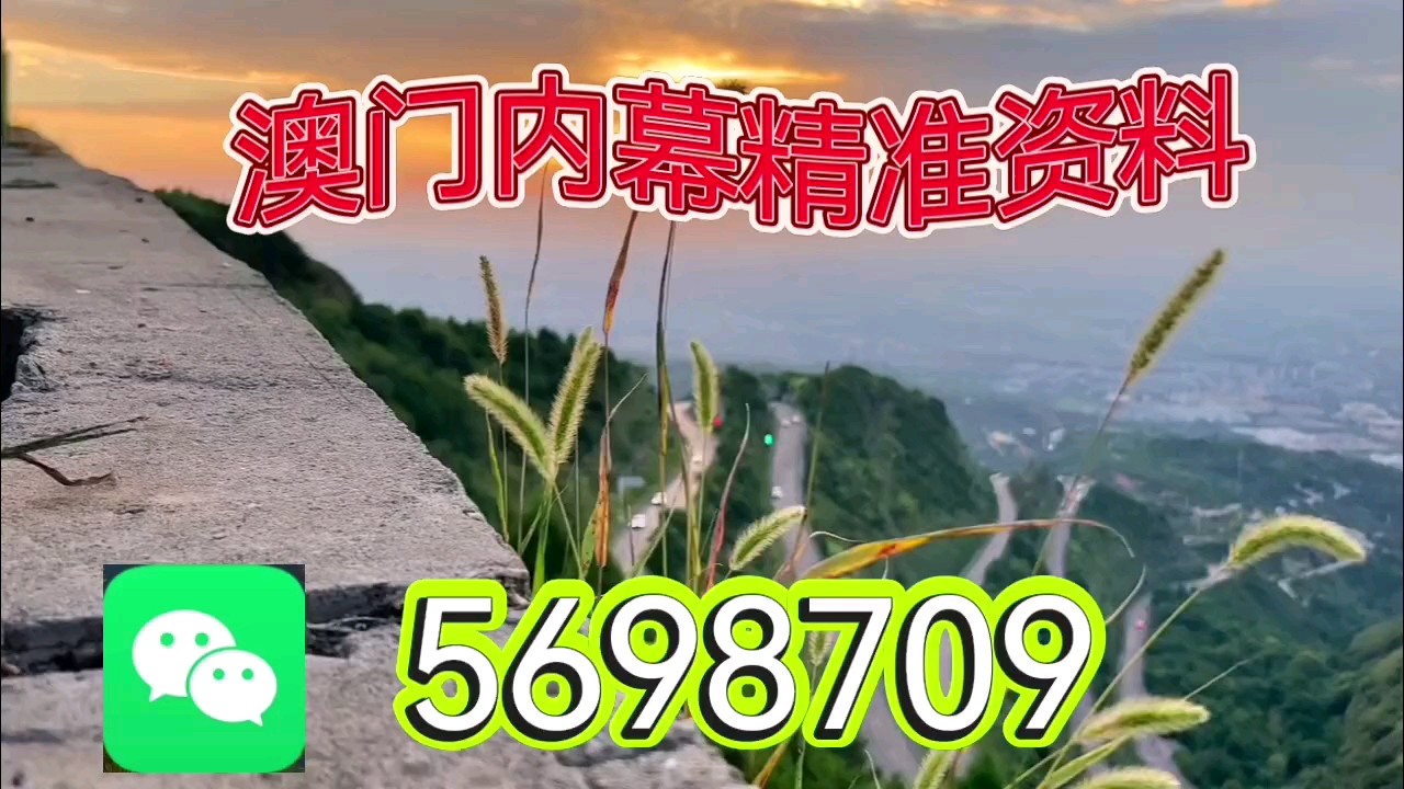 新澳天天開彩資料大全——探索彩票世界的奧秘，新澳天天開彩資料大全，揭秘彩票世界的神秘面紗
