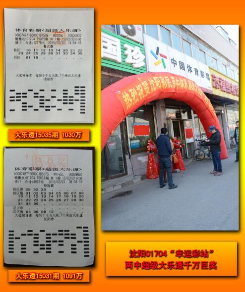 王中王平特一肖二選一，深度解析與SEO優(yōu)化策略，王中王平特一肖二選一深度解析與SEO策略優(yōu)化指南