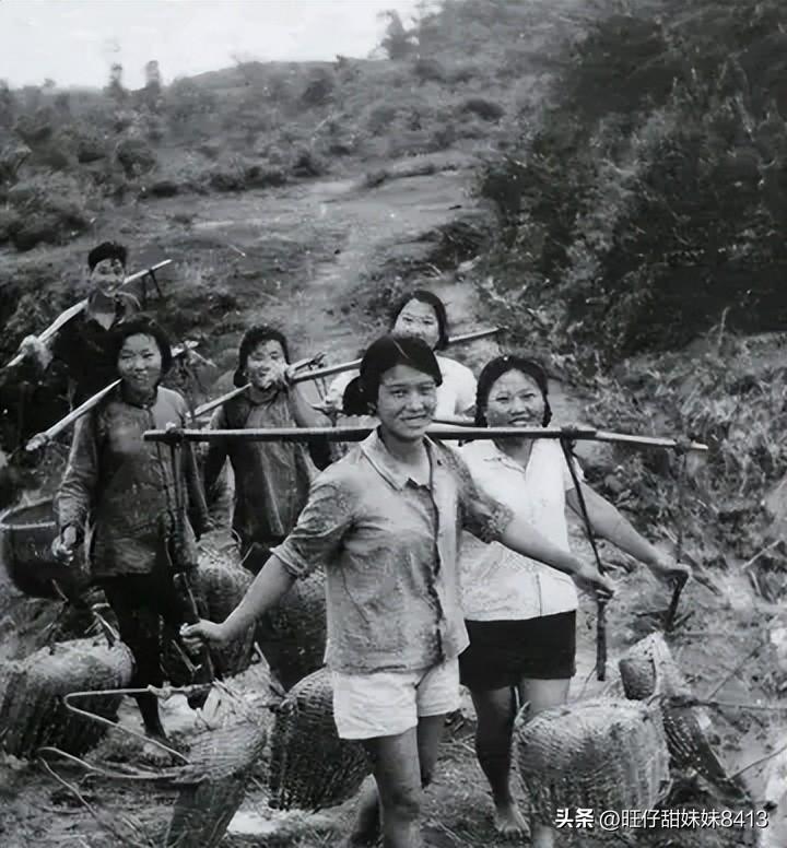 關(guān)于49圖庫圖片資料，豐富資源一網(wǎng)打盡，49圖庫，圖片資源豐富，一網(wǎng)打盡！