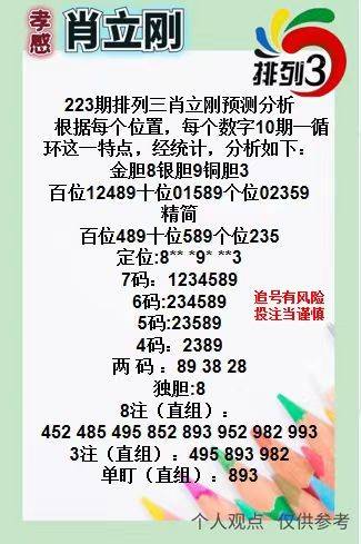王中王三肖一碼資料，深度解析與SEO優(yōu)化策略，王中王三肖一碼資料深度解析與SEO優(yōu)化策略全攻略