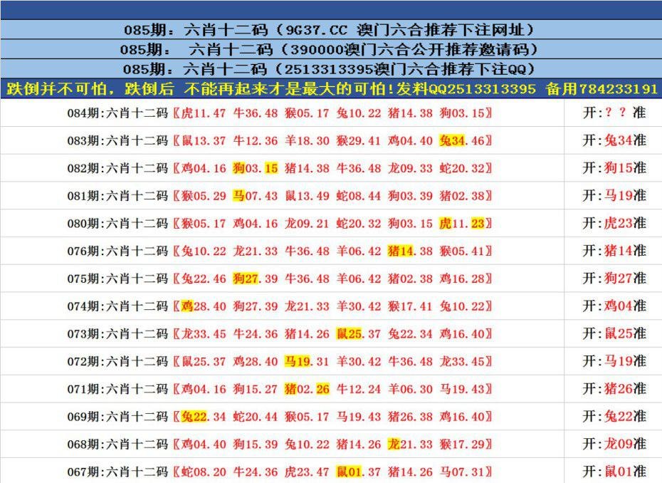 澳門(mén)六合正版資料，深度解析與探索，澳門(mén)六合正版資料深度解析與探索之旅